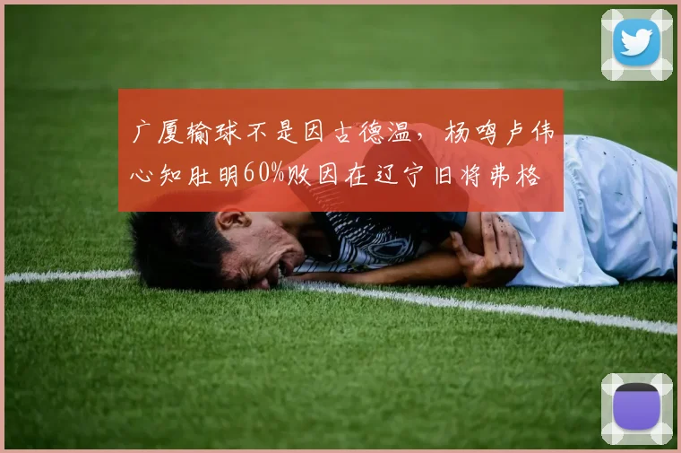 广厦输球不是因古德温,杨鸣卢伟心知肚明60%败因在辽宁旧将弗格